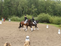 IMG_1580_web